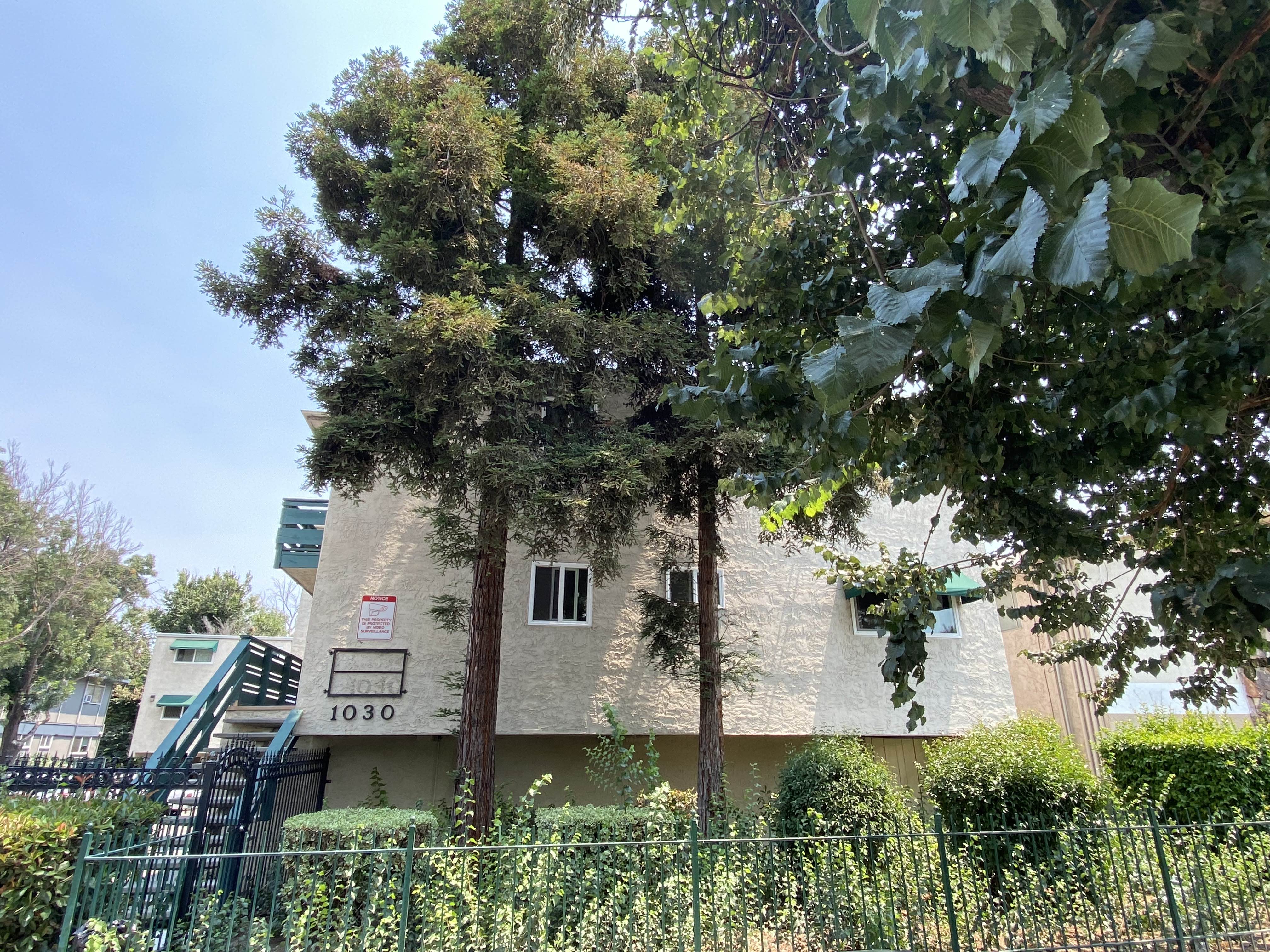 South 12th Street Apartments photo 2